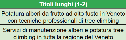 Immagine 2025-04-10 163711