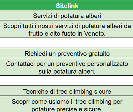 Immagine 2025-04-10 163841